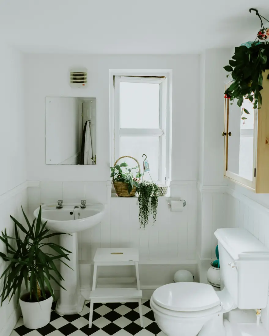 Baño blanco con lavabo de pie, plantas y suelo ajedrezado