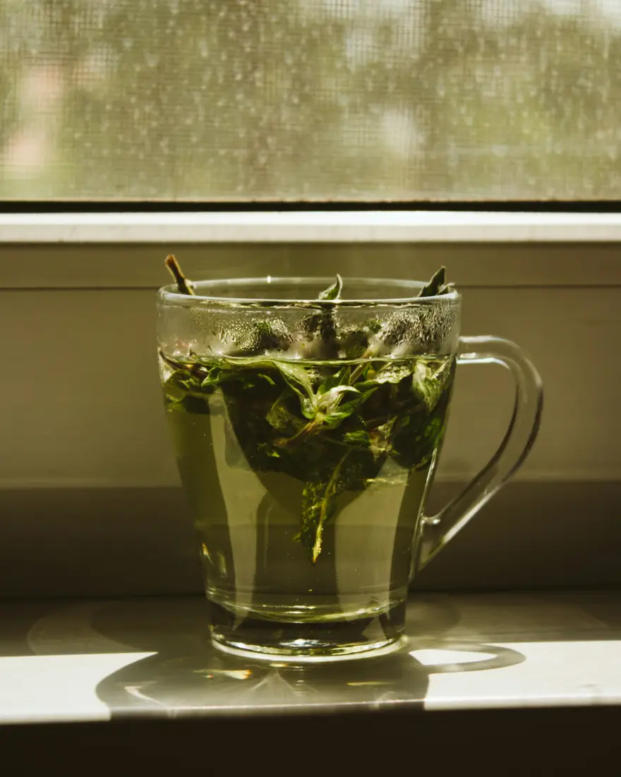Glass of fresh mint tea on a sunny windowsill