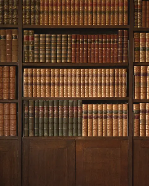 Shelves of leather-bound books with gilt spines